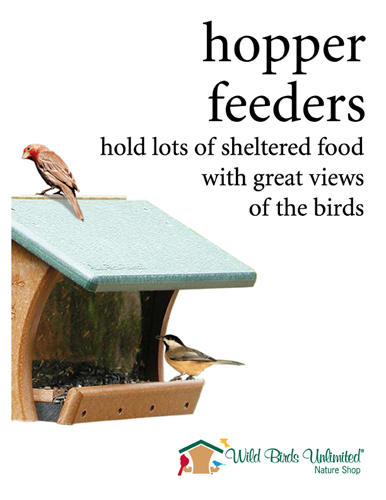 all wild birds unlimited coupons